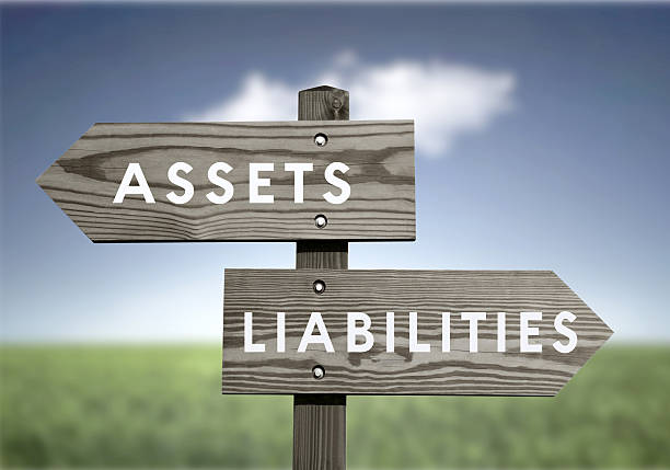 ALM - Asset, Liabilities, Risk of Mismatch, Insurance as the backbone of ALM